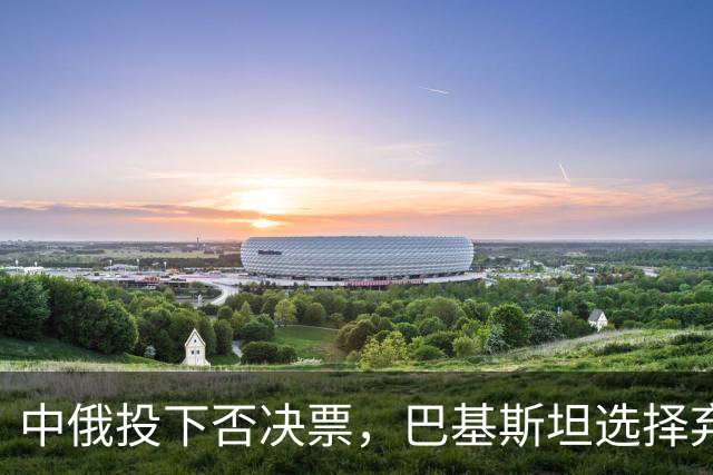 中俄投下否决票，巴基斯坦选择弃权！特朗普的提议遭到多方冷遇
