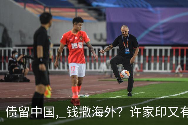 债留中国, 钱撒海外？许家印又有重大资产被挖, 捐哈佛12亿冰山一角