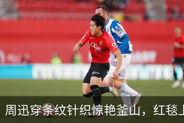 周迅穿条纹针织惊艳釜山，红毯上却哭到哽咽，背后原因让人心疼