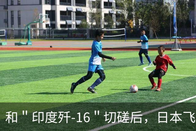 和＂印度歼-16＂切磋后，日本飞行员自信爆棚：侧卫战机不过如此