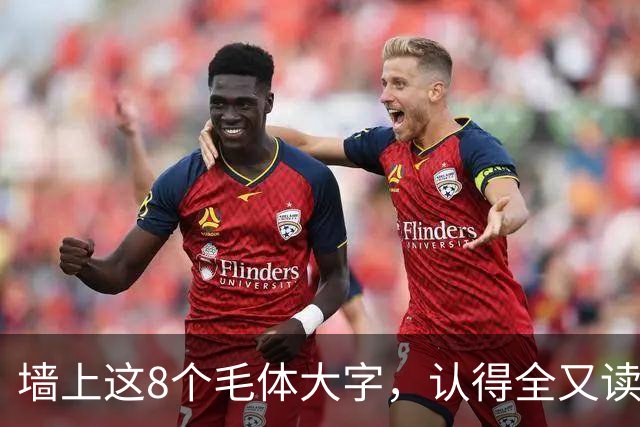 墙上这8个毛体大字，认得全又读得透的，这份功力我由衷佩服！