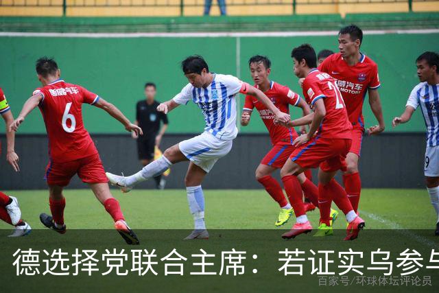 德选择党联合主席：若证实乌参与了北溪管道被炸事件，将面临后果