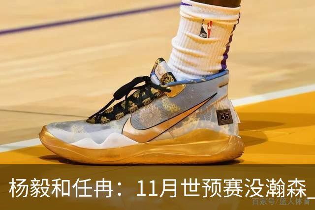 杨毅&任冉：11月世预赛没瀚森 郭士强是否突击学习“先进篮球”？