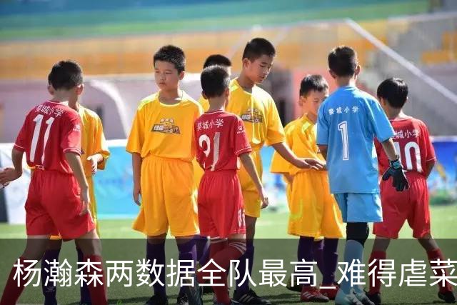 杨瀚森两数据全队最高 难得虐菜局为何依然谦让？