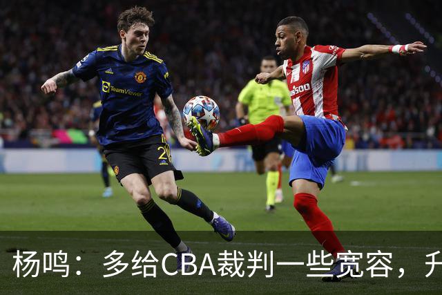 杨鸣：多给CBA裁判一些宽容，升降级了谁也不可能胡来