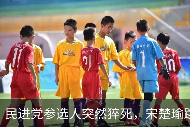 民进党参选人突然猝死，宋楚瑜跳出来搅局，蒋万安或将失守？