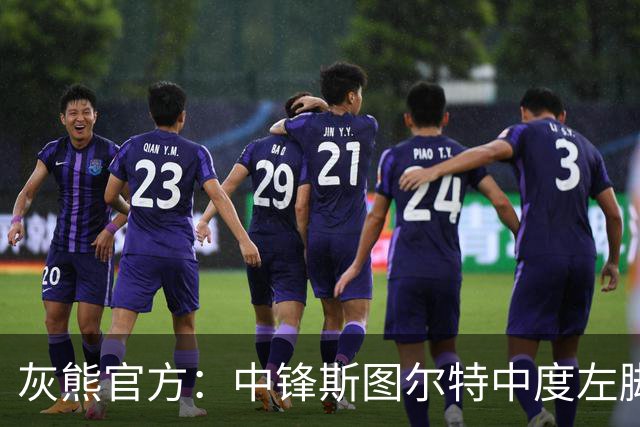 灰熊官方：中锋斯图尔特中度左脚踝扭伤 两周后接受复查