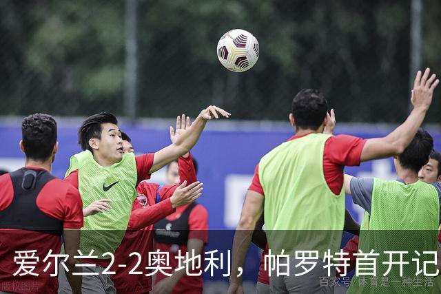 爱尔兰2-2奥地利，帕罗特首开记录，格雷戈里奇扳平