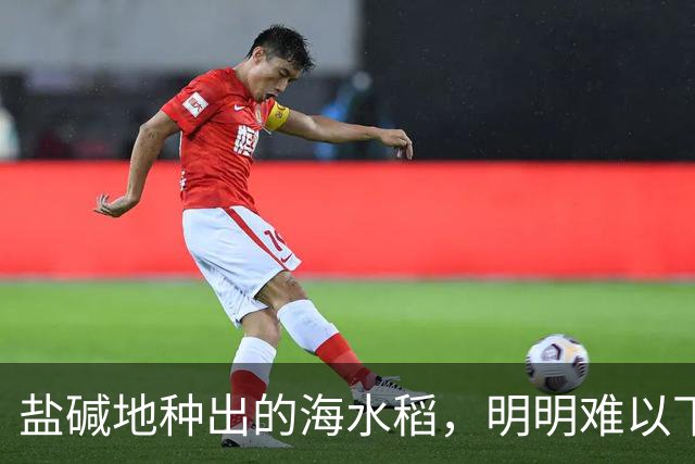 盐碱地种出的海水稻，明明难以下咽，为何我国还要狂种百万亩？