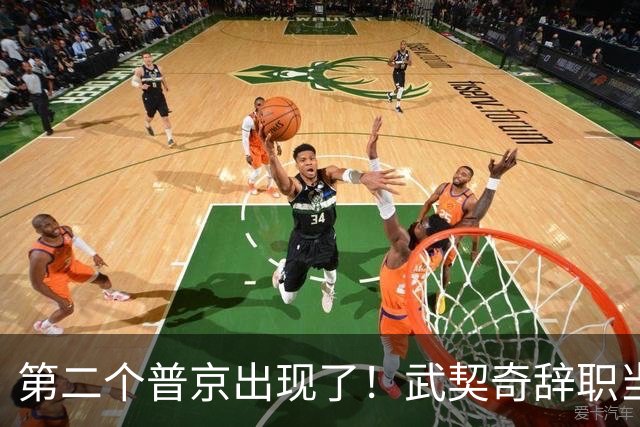 第二个普京出现了！武契奇辞职当天，两度提及中国并许下重磅承诺