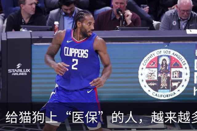 给猫狗上“医保”的人，越来越多