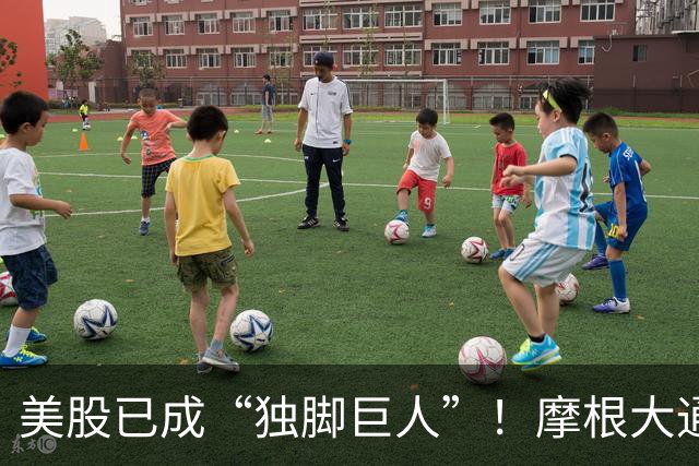 美股已成“独脚巨人”！摩根大通、BTIG同时预警：指数全靠七大科技巨头托底，60%成分股进入技术性熊市