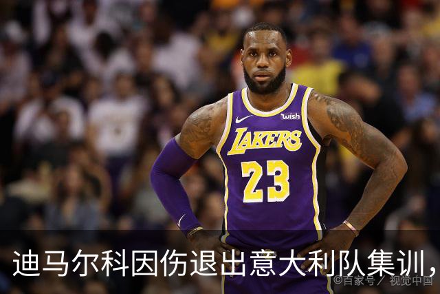 迪马尔科因伤退出意大利队集训，鲁杰里递补入选