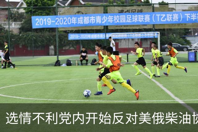 选情不利党内开始反对美俄柴油协议