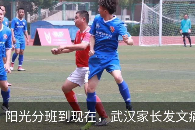 阳光分班到现在，武汉家长发文痛斥
