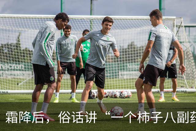 霜降后，俗话讲“一个柿子八副药”，吃柿子有啥好处？什么人不适合吃？