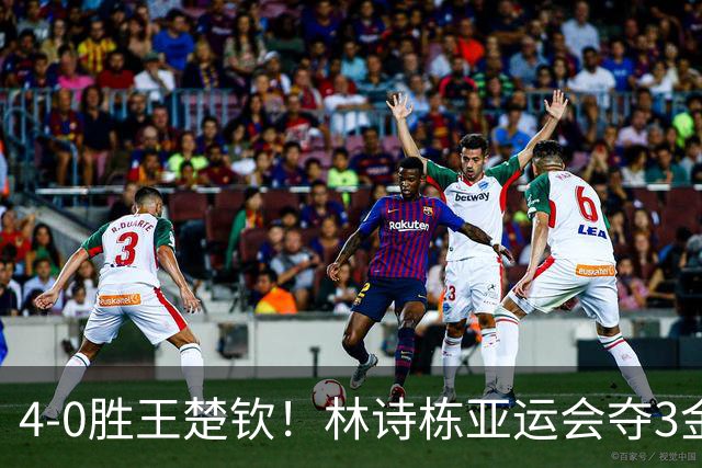 4-0胜王楚钦！林诗栋亚运会夺3金，球迷疑问：男团决赛咋输的日本