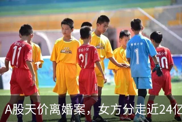 A股天价离婚案，女方分走近24亿