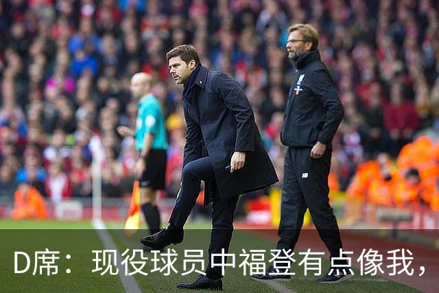 D席：现役球员中福登有点像我，踢法像我生涯后期的风格